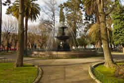 Sede 